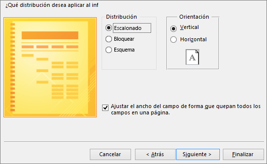 Una p�gina en el Asistente para informes