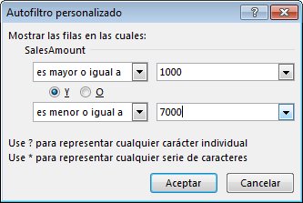 Cuadro de di�logo Personalizar autofiltro